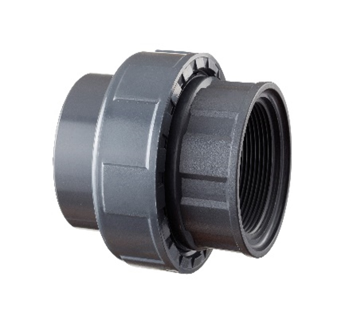 Holender D20