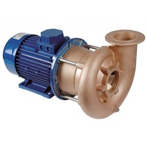 RG-Pumpe 4,0 KW, DS
