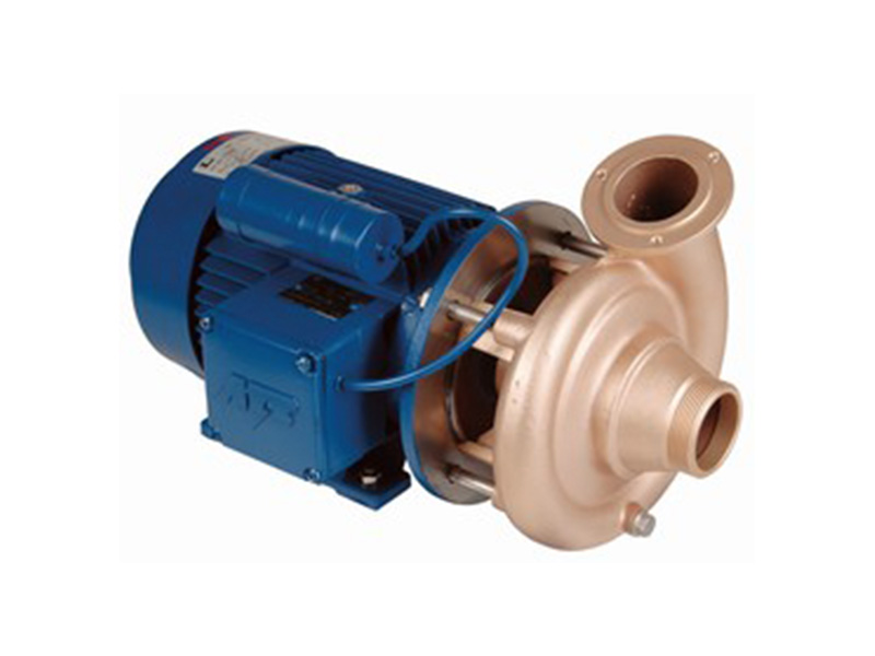 RG-Pumpe 1,5KW,WS, Saugseite G2,normalsaugend Typ GSB 40