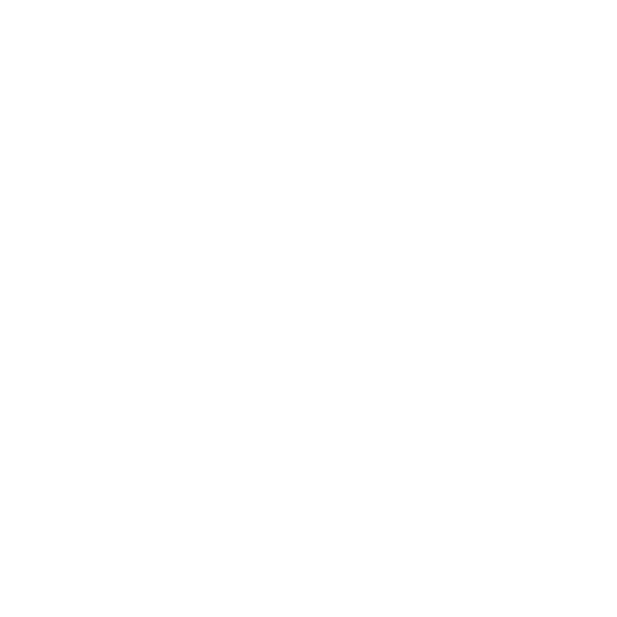 Service advantage icon